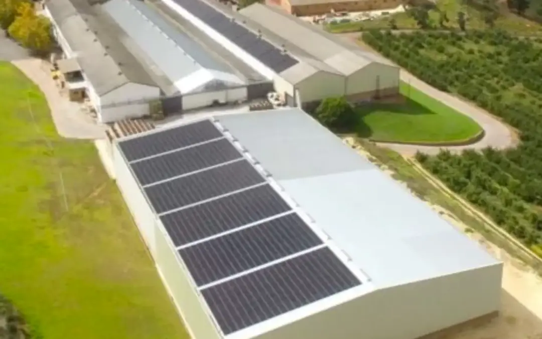 Thresholds on private power generation holding agri businesses back