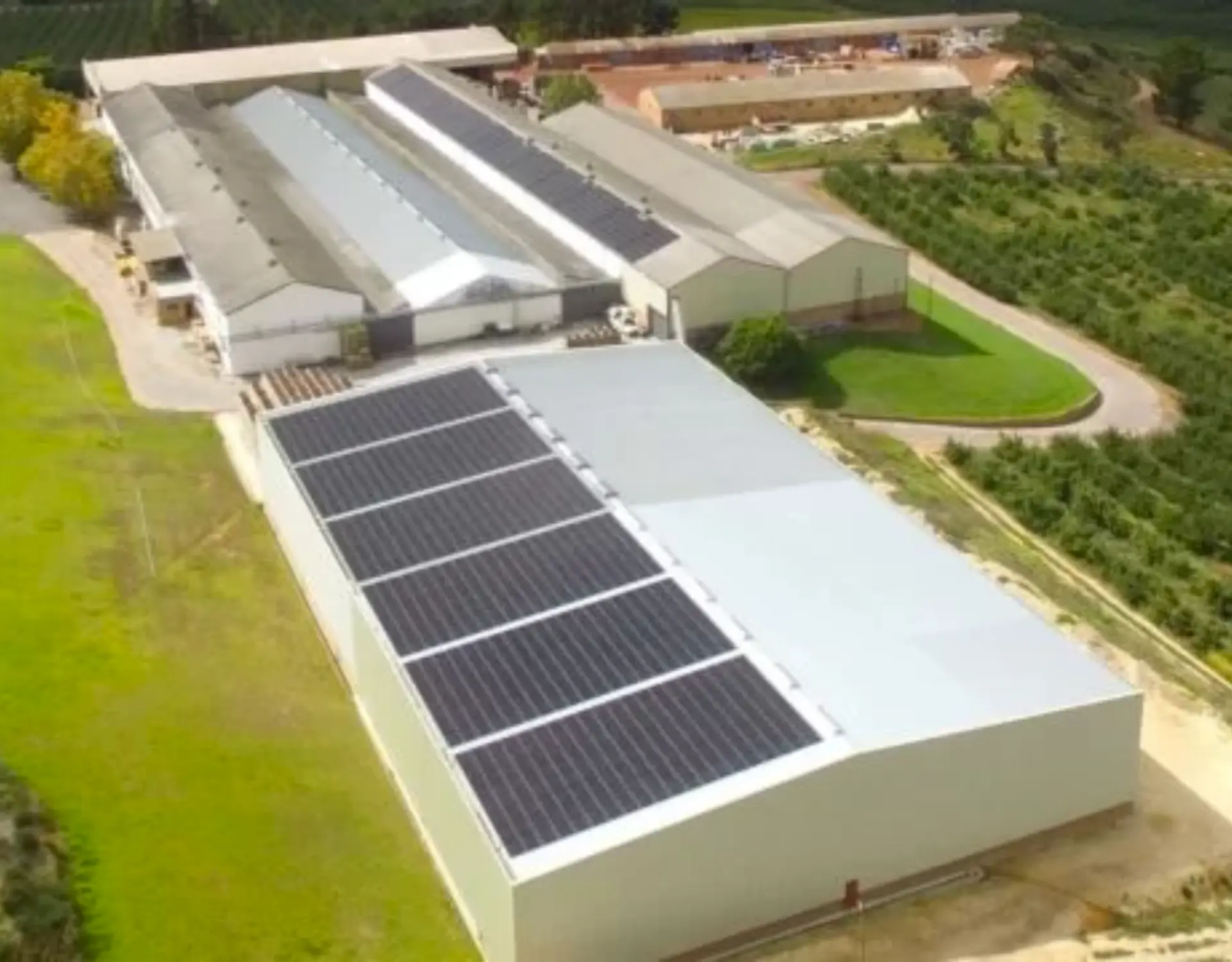 Energy Partners News Thresholds On Private Power Generation Holding Agri Businesses Back