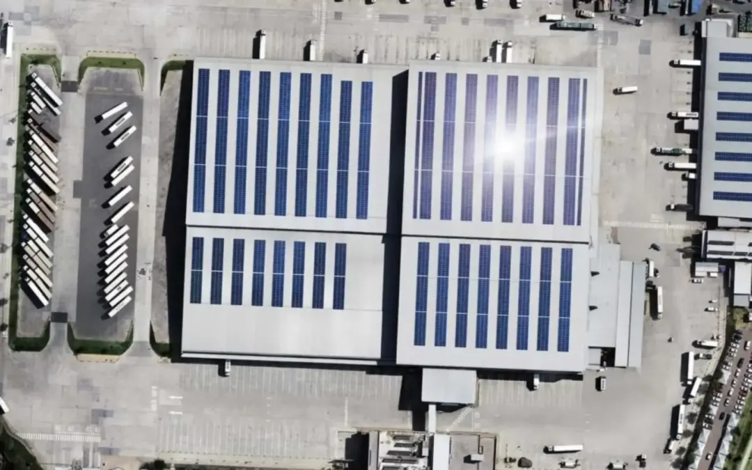 Eskom’s turn-around plan will not solve the crisis