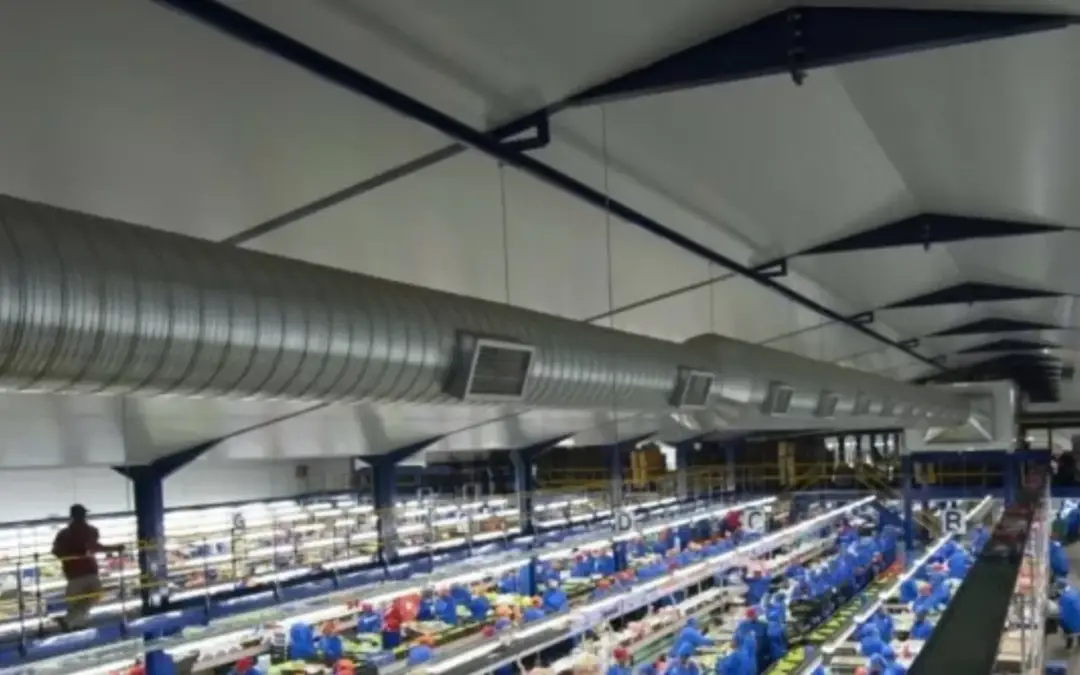 Outsourced energy solutions crucial to helping food manufacturers