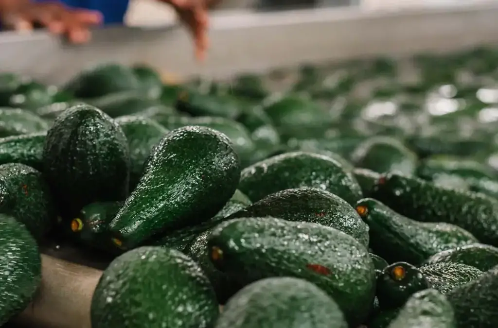 Cooling as a Service