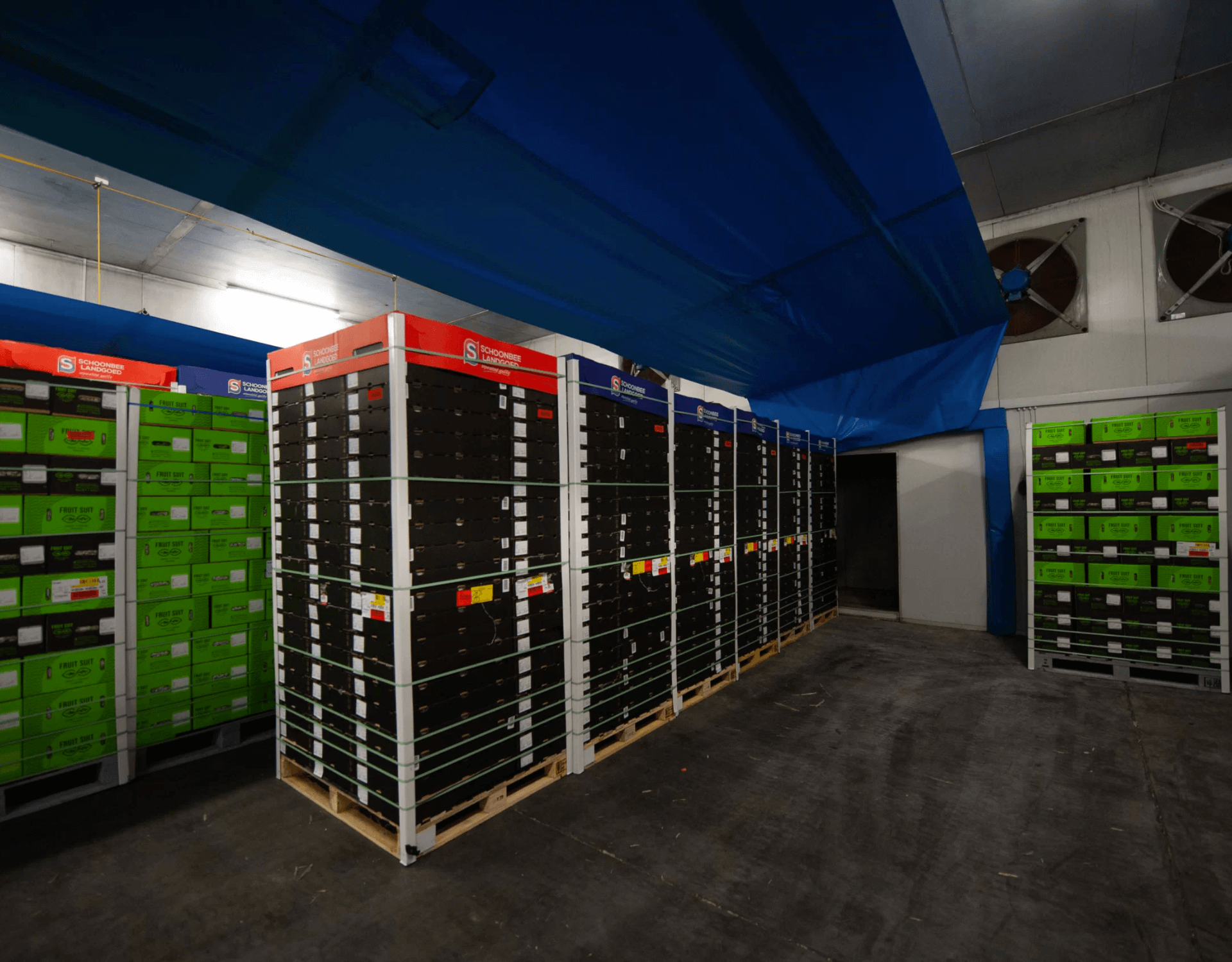 Energy Partners News Optimising The Cold Chain Prevents Unnecessary Produce Losses And Saves Businesses Money