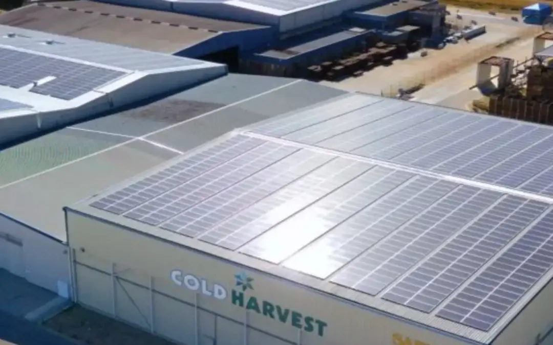 Sustainable energy crucial to accelerate SA’s economic recovery