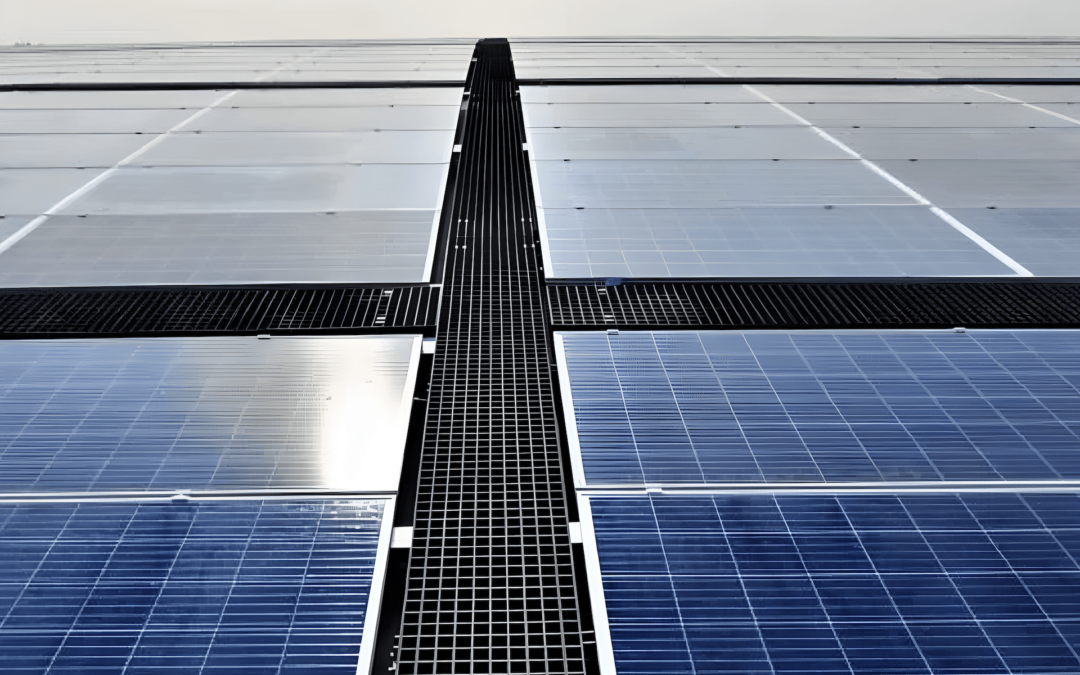 Is going off grid SA’s biggest energy myth?