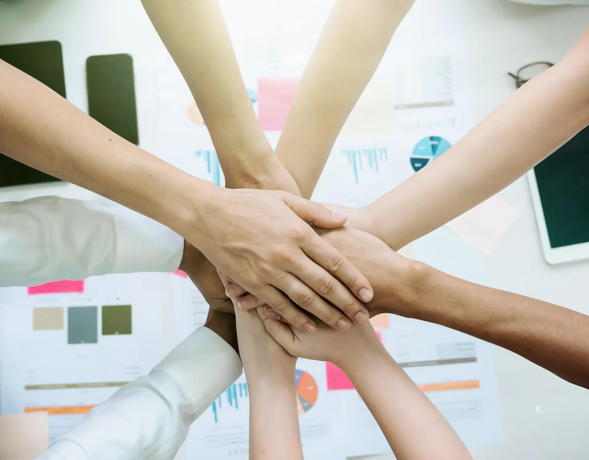 Blog Case Study Netcares Sustainability Journey