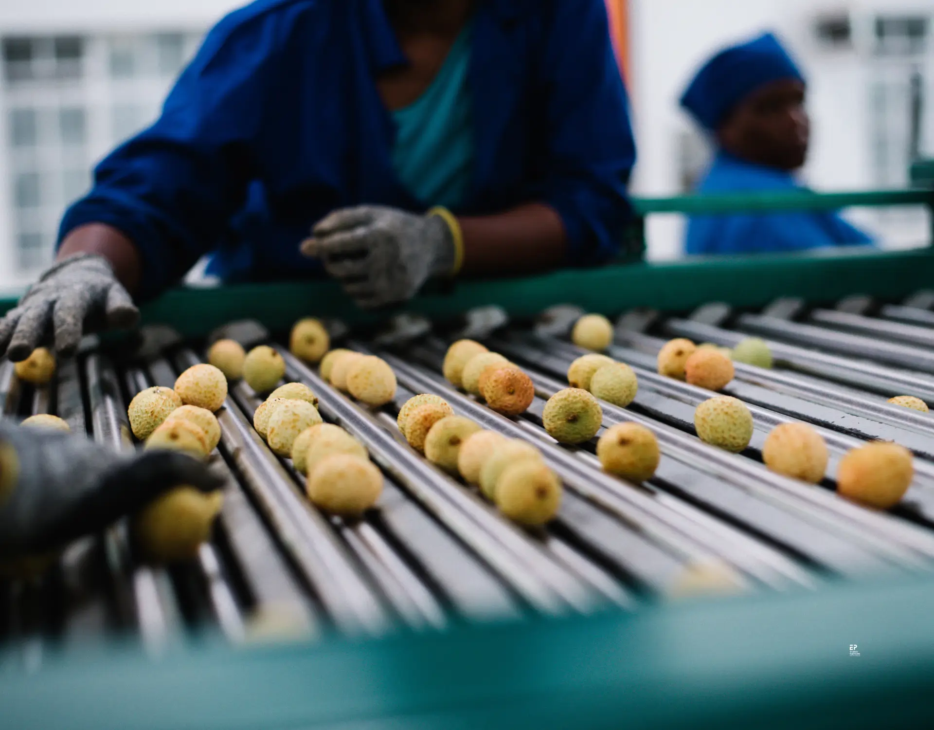 Blog Cooling As A Service A Revolution In Industrial Refrigeration