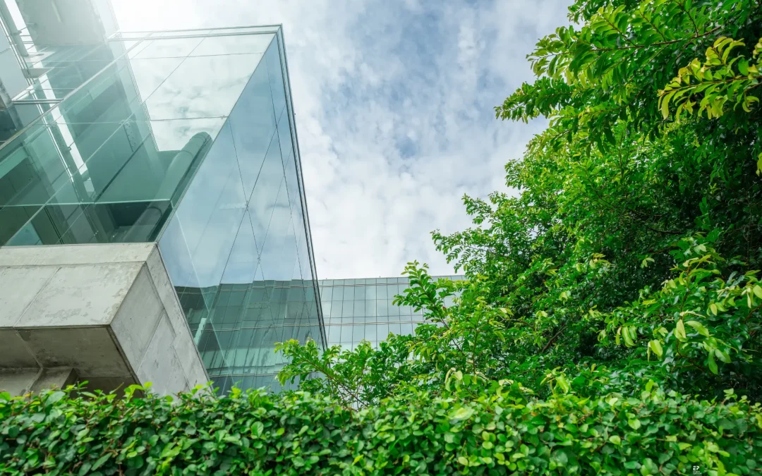 ESG or Sustainability? Here’s why you need both