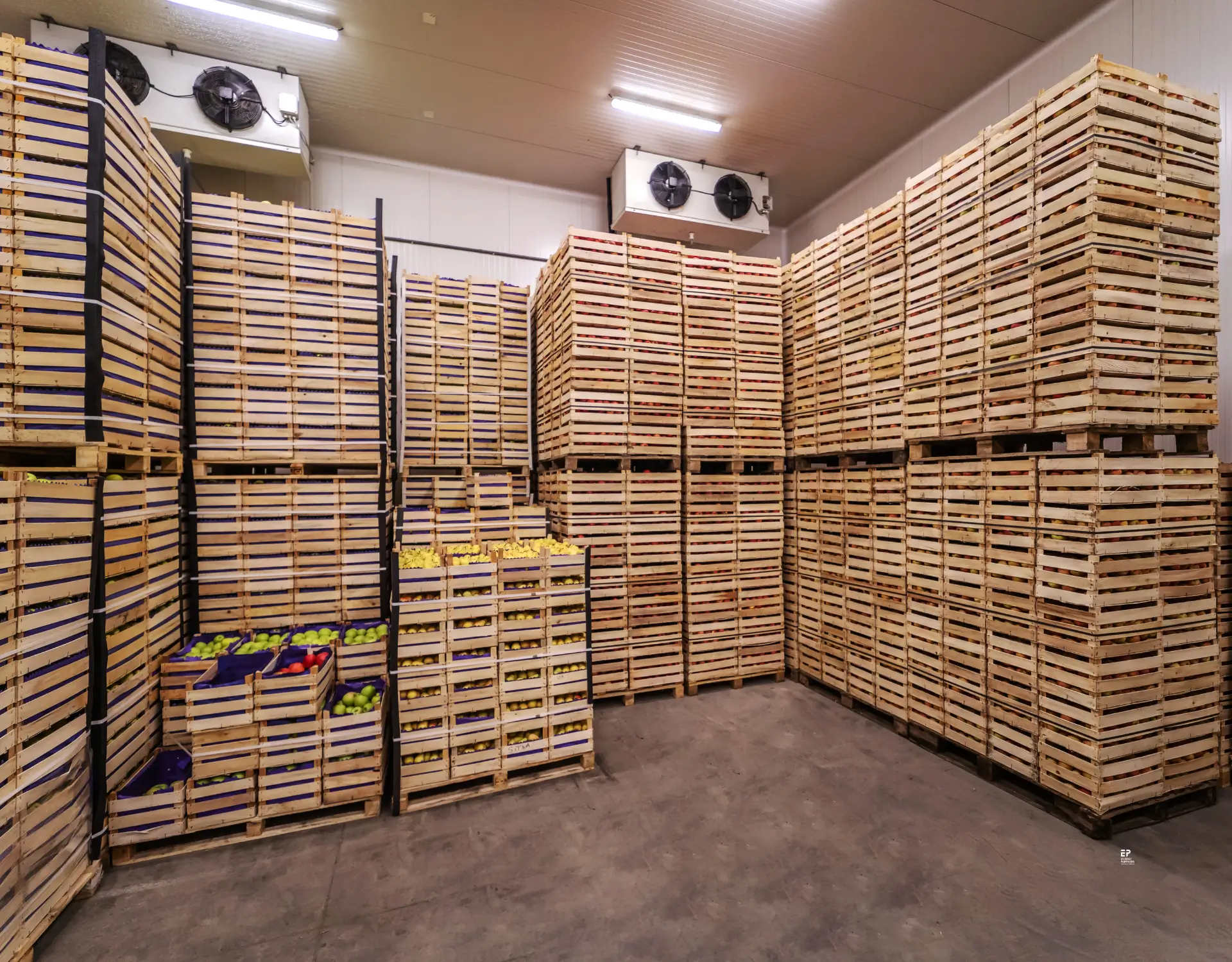 Blog Tackling Africas Food Loss Crisis A New Approach To Cold Storage Efficiency