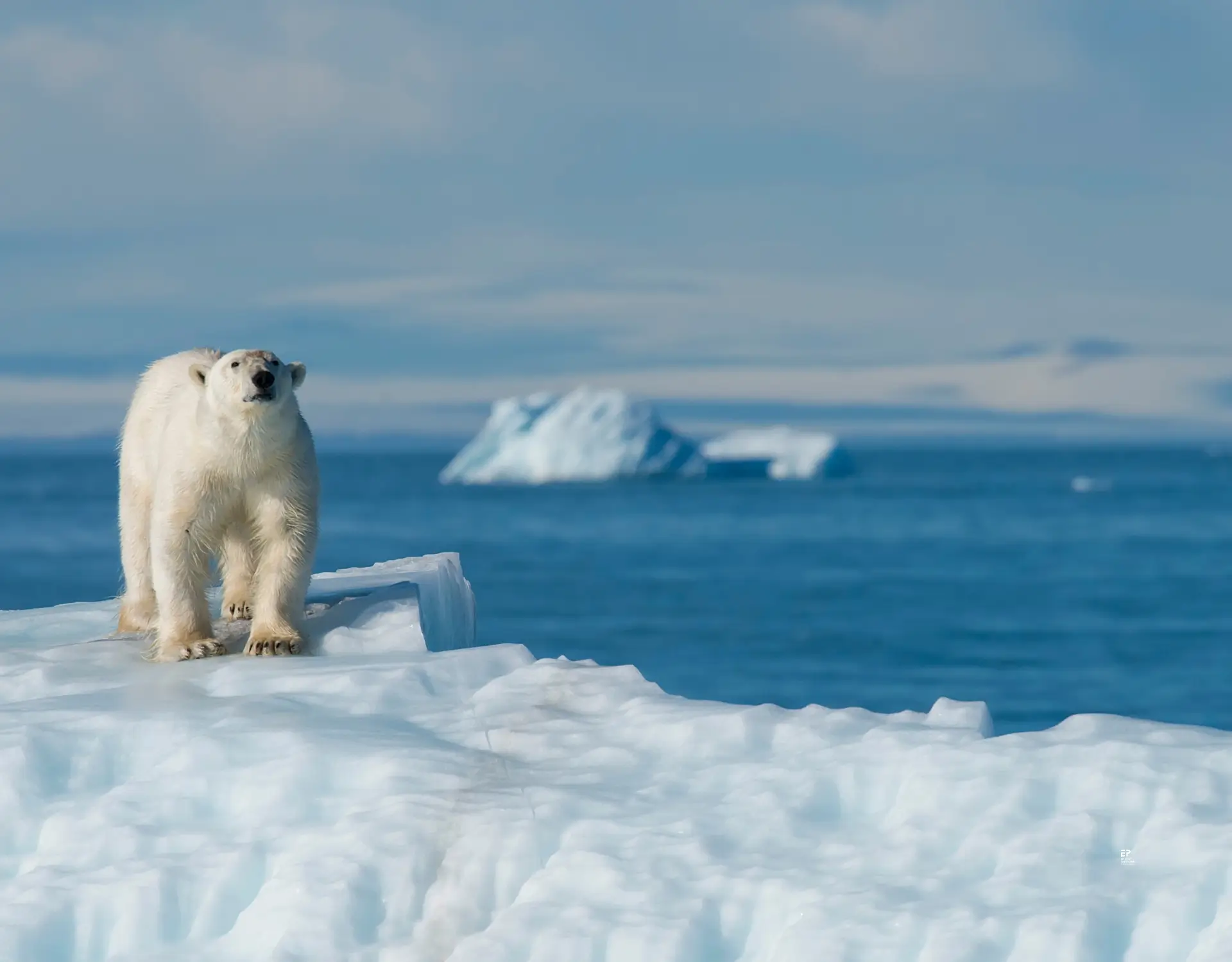 Blog What Will It Take For Industrial Cooling To Meet The Environmental Challenge