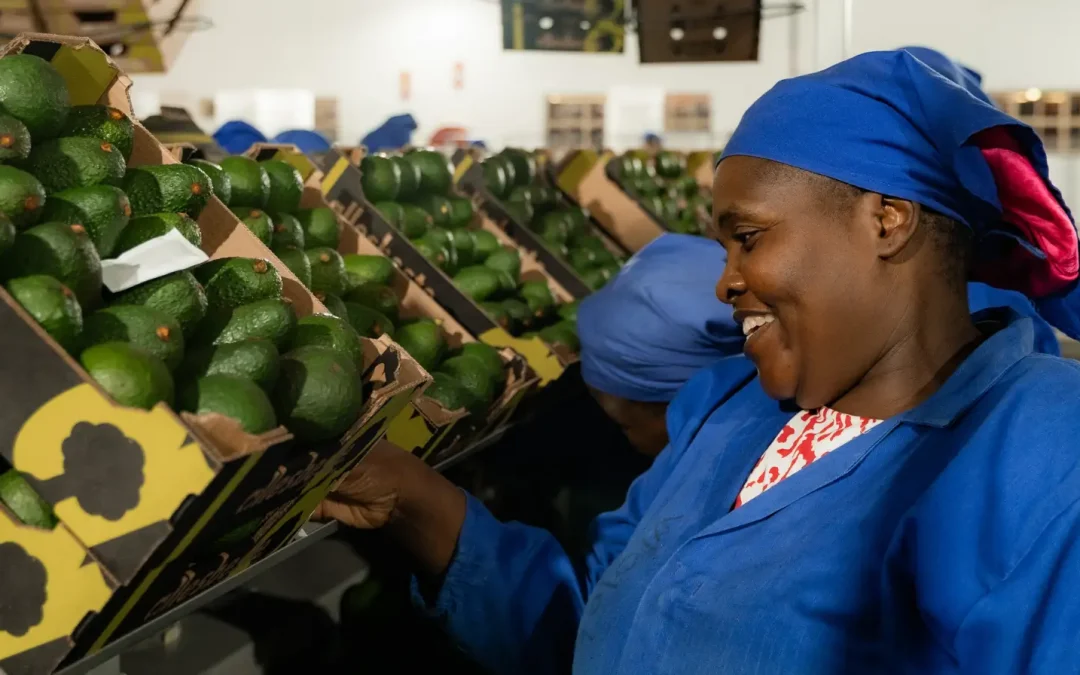 Africa’s food security depends on cooling – not aid.