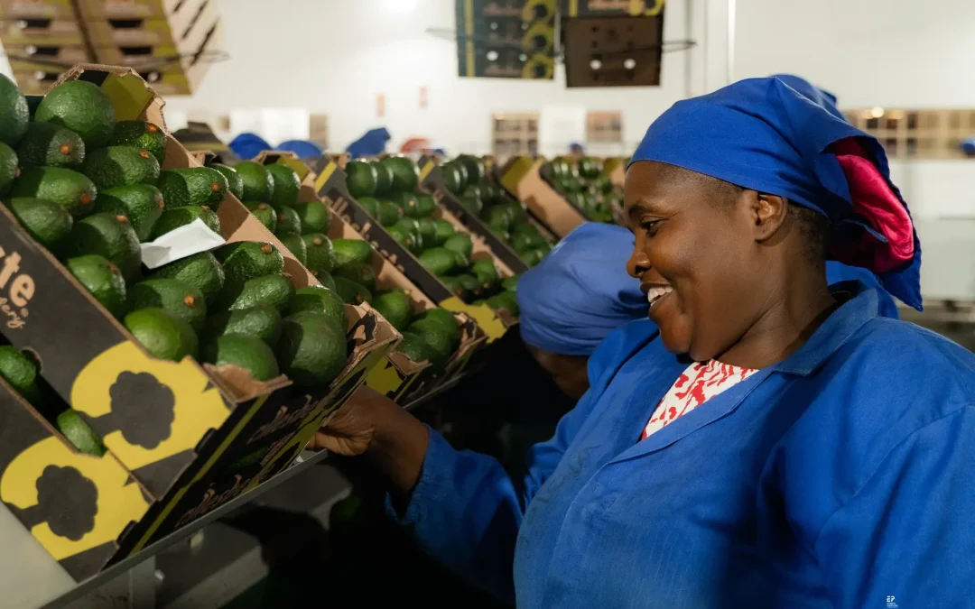 Africa’s food security depends on cooling – not aid.