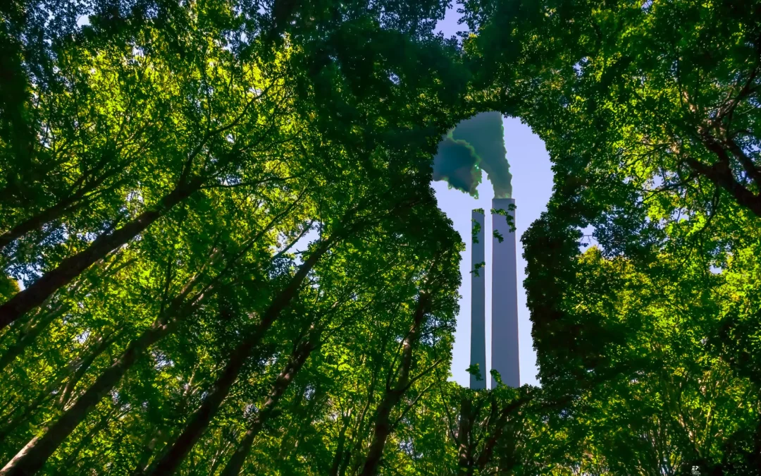 Why ESG promises must be backed by hard data
