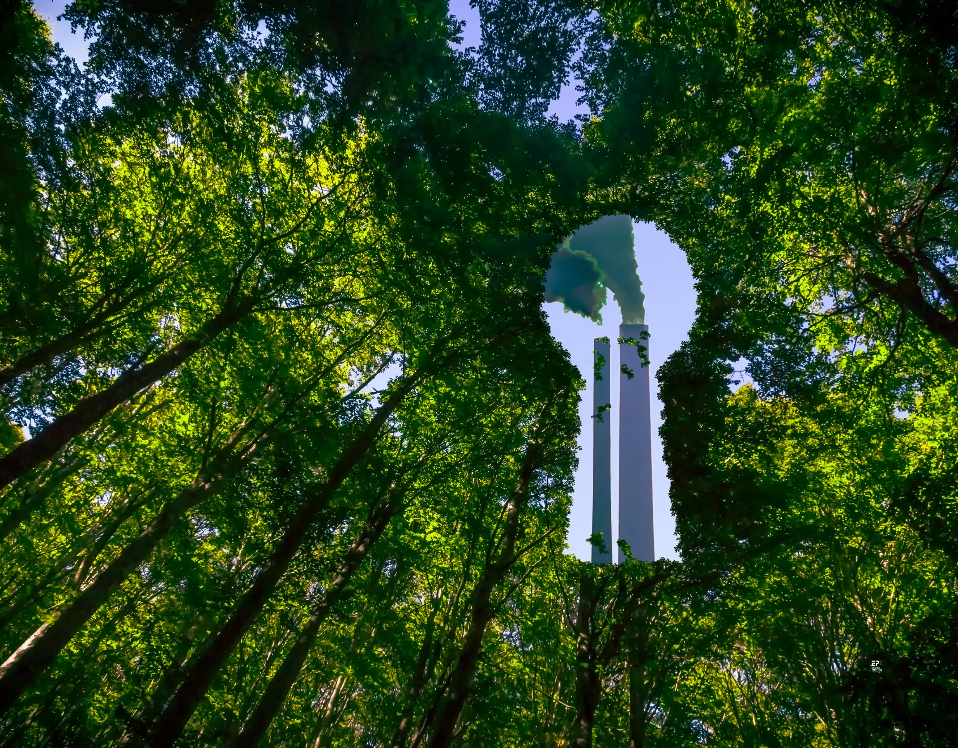 Greenwashing Energy Partners News Non Main Image