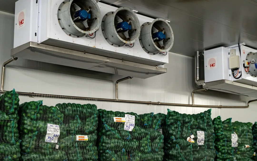 Energy Partners & Landbouweekblad: Export-ready cooling without upfront capex