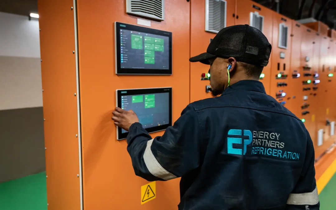 Energy management as survival strategy